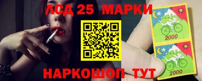 spice Обнинск