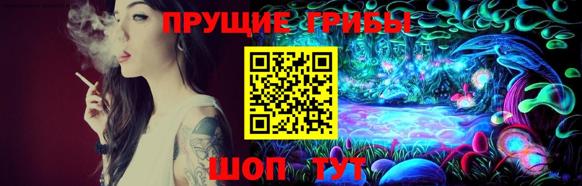 Псилоцибиновые грибы Cubensis  Вход с VPN  Санкт-Петербург 